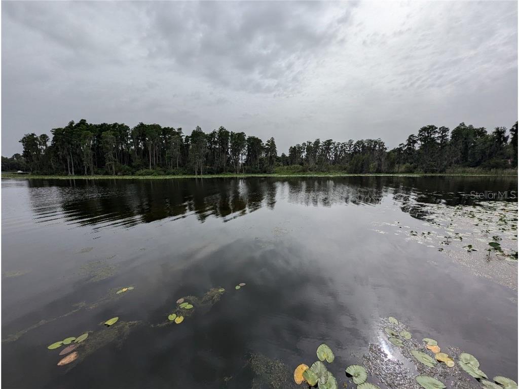 18302 Hanna Road Lutz FL 33549 - HANNA LAKE TB8367547 image15