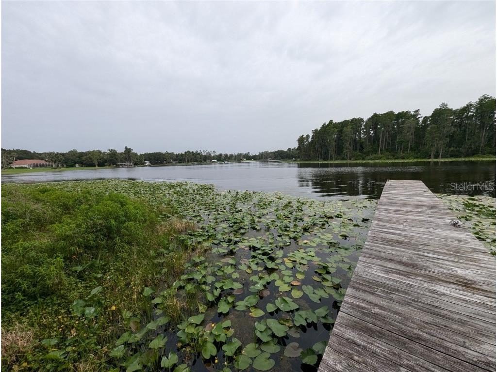 18302 Hanna Road Lutz FL 33549 - HANNA LAKE TB8367547 image17