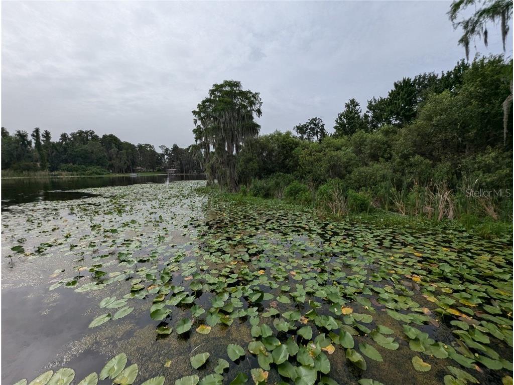 18302 Hanna Road Lutz FL 33549 - HANNA LAKE TB8367547 image18