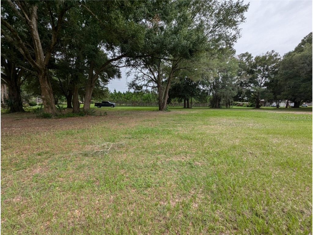18302 Hanna Road Lutz FL 33549 - HANNA LAKE TB8367547 image19
