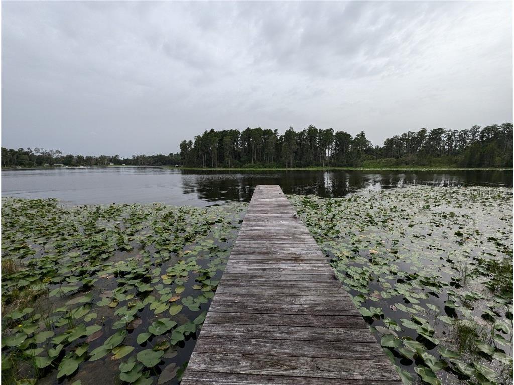 18302 Hanna Road Lutz FL 33549 - HANNA LAKE TB8367547 image21