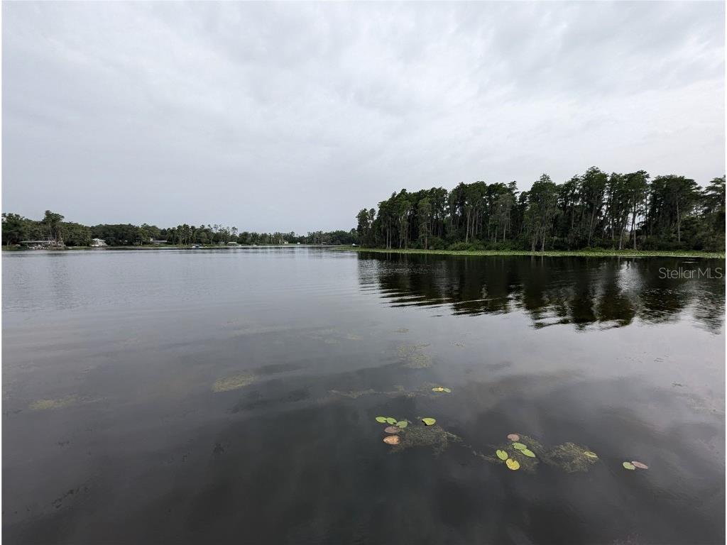 18302 Hanna Road Lutz FL 33549 - HANNA LAKE TB8367547 image22