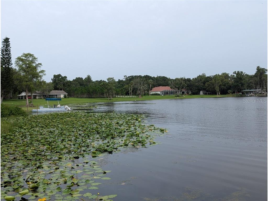 18302 Hanna Road Lutz FL 33549 - HANNA LAKE TB8367547 image23