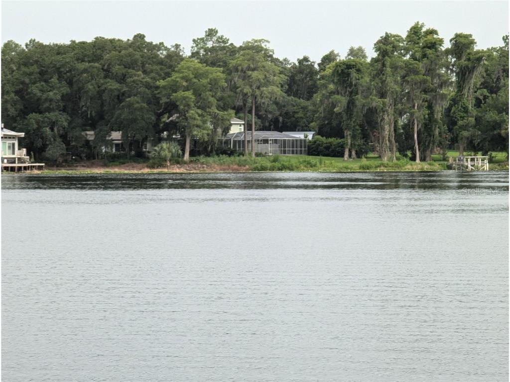 18302 Hanna Road Lutz FL 33549 - HANNA LAKE TB8367547 image26