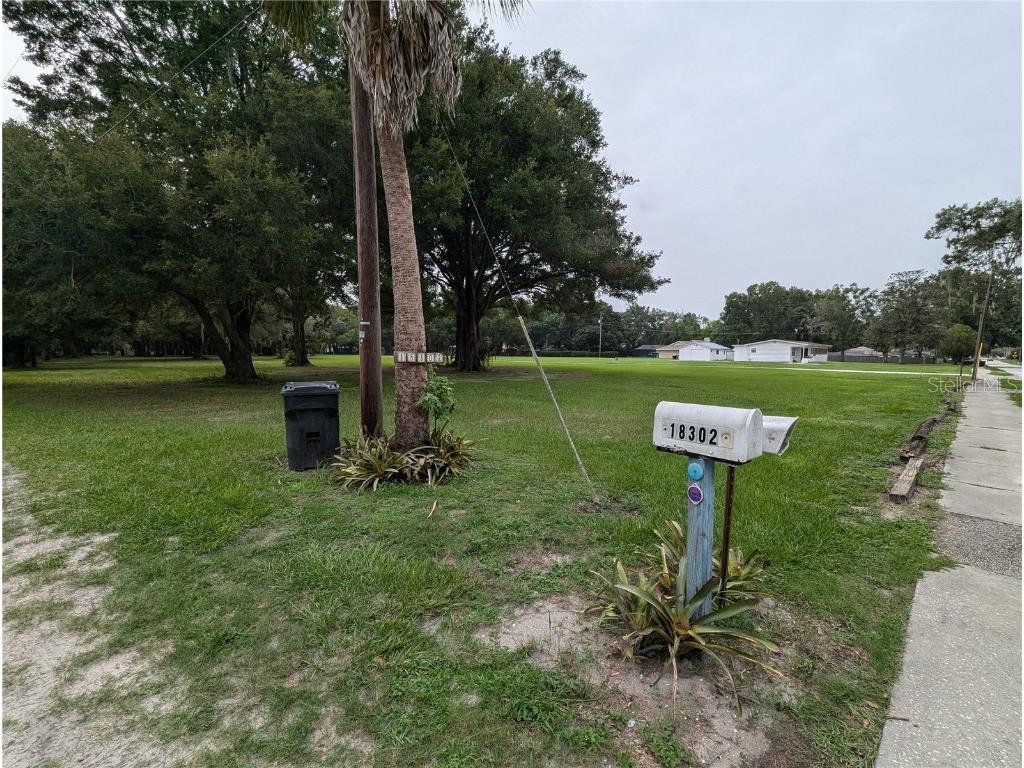 18302 Hanna Road Lutz FL 33549 - HANNA LAKE TB8367547 image29