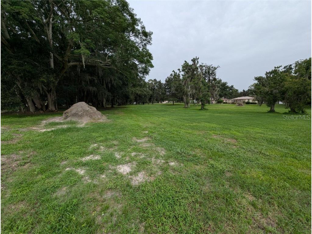 18302 Hanna Road Lutz FL 33549 - HANNA LAKE TB8367547 image30