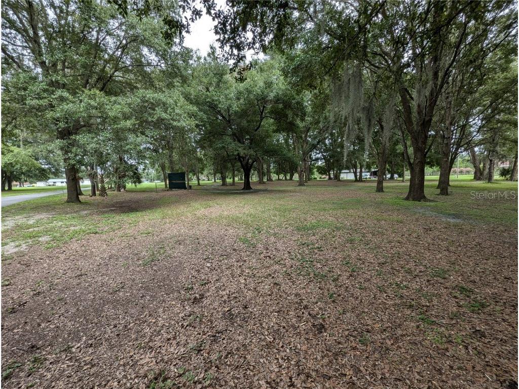 18302 Hanna Road Lutz FL 33549 - HANNA LAKE TB8367547 image33