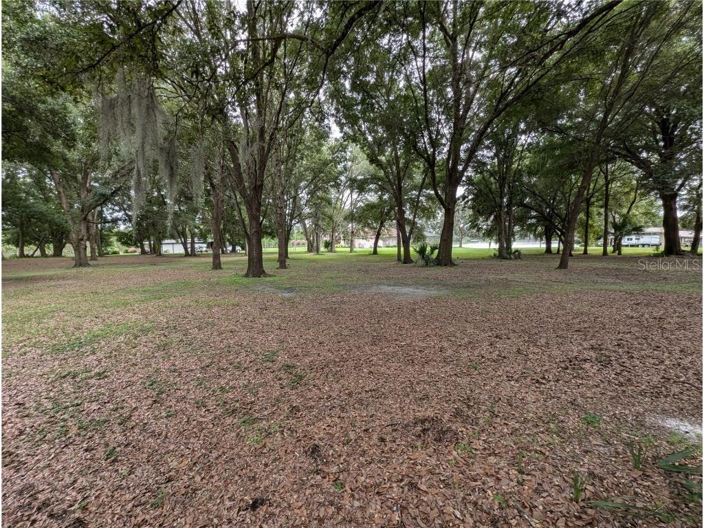 18302 Hanna Road Lutz FL 33549 - HANNA LAKE TB8367547 image34