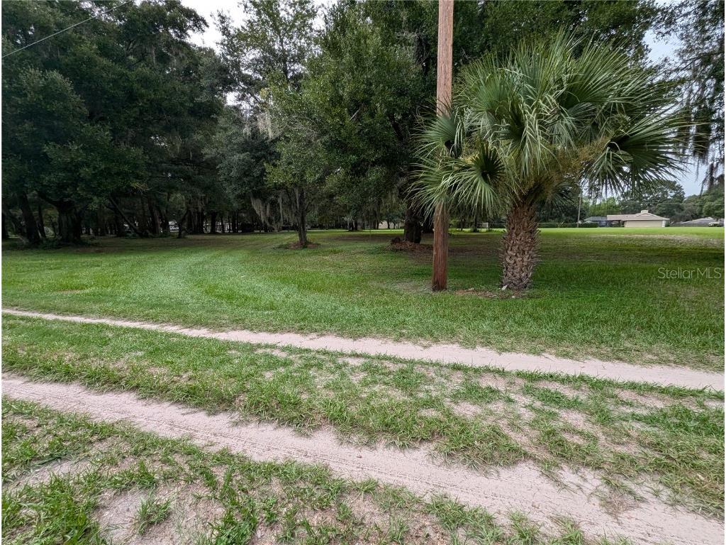 18302 Hanna Road Lutz FL 33549 - HANNA LAKE TB8367547 image39