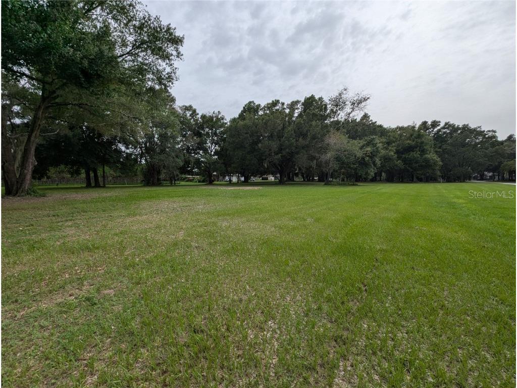 18302 Hanna Road Lutz FL 33549 - HANNA LAKE TB8367547 image40