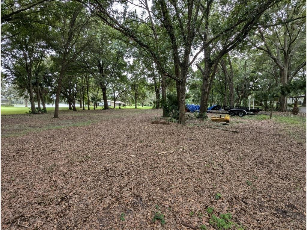 18302 Hanna Road Lutz FL 33549 - HANNA LAKE TB8367547 image41