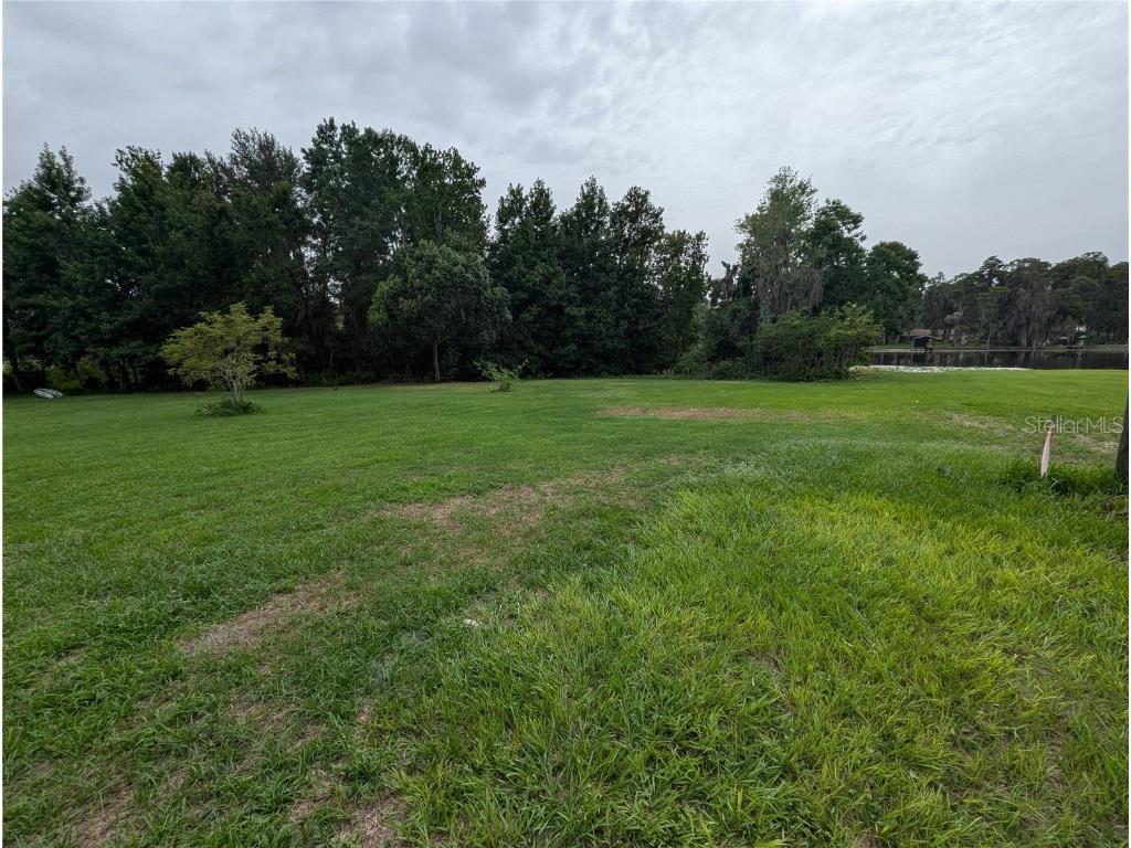 18302 Hanna Road Lutz FL 33549 - HANNA LAKE TB8367547 image42