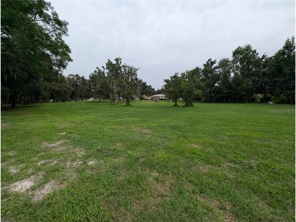 18302 Hanna Road Lutz FL 33549 - HANNA LAKE TB8367547 image45