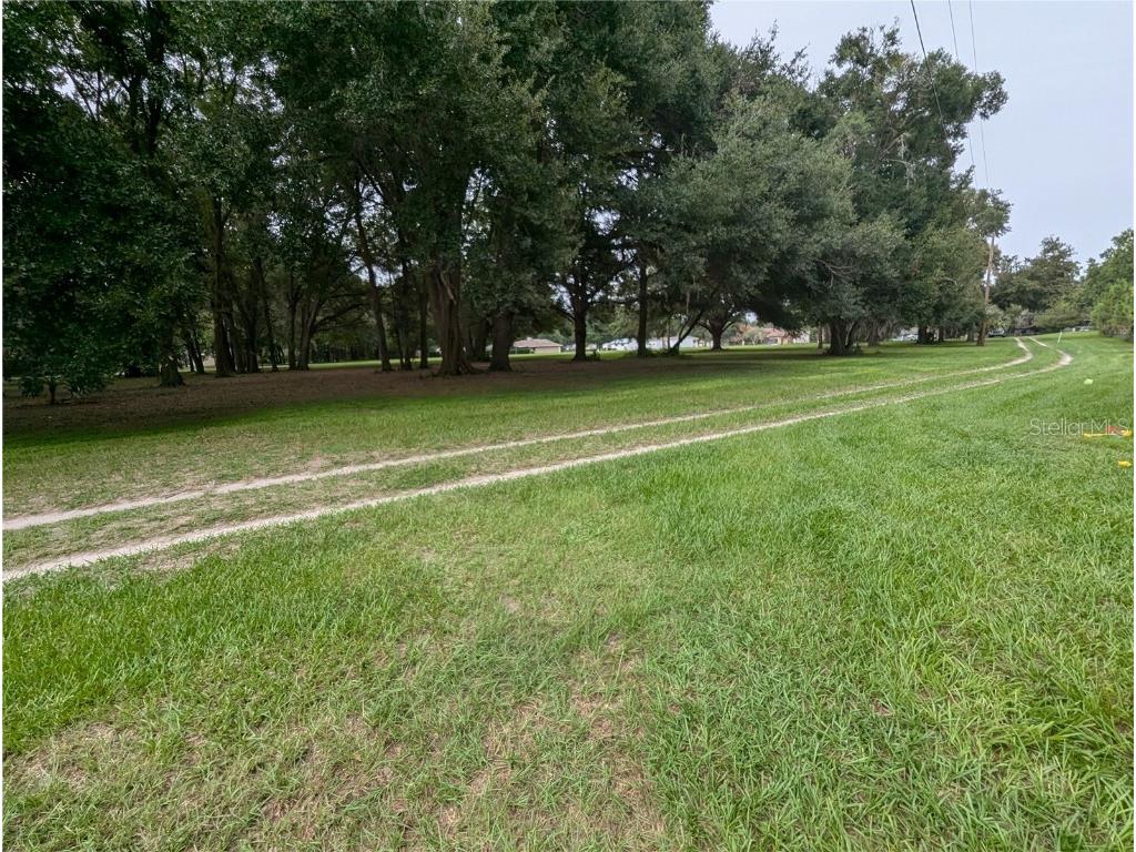 18302 Hanna Road Lutz FL 33549 - HANNA LAKE TB8367547 image46