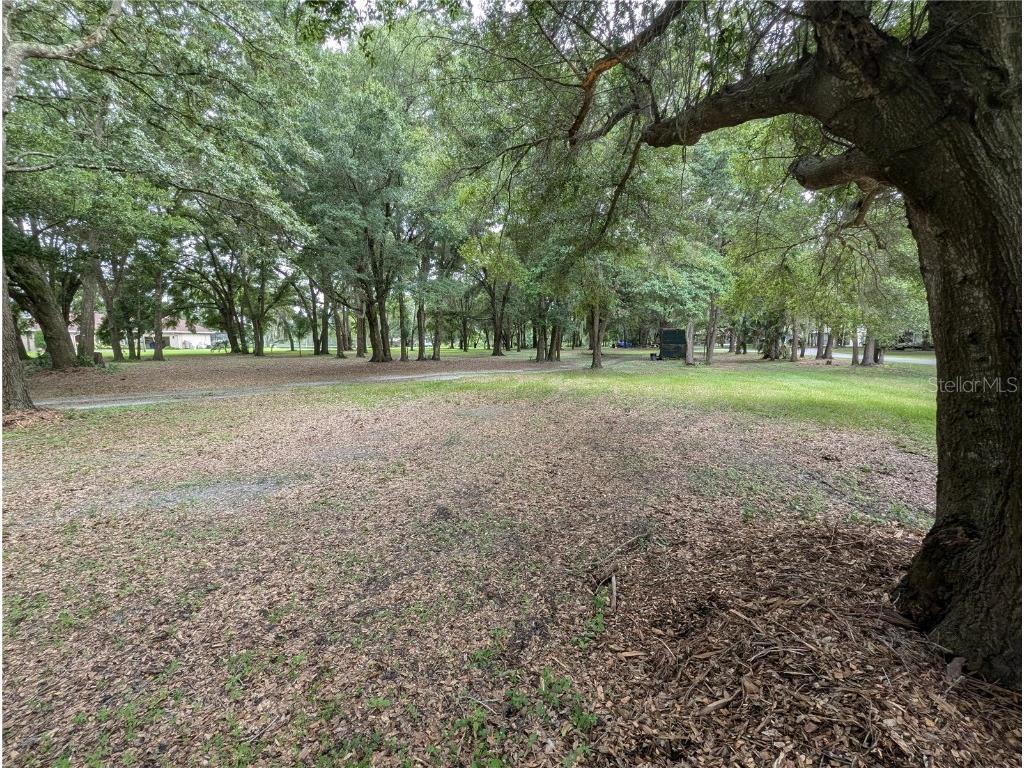 18302 Hanna Road Lutz FL 33549 - HANNA LAKE TB8367547 image48