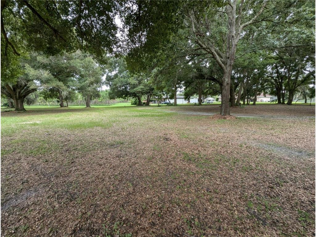 18302 Hanna Road Lutz FL 33549 - HANNA LAKE TB8367547 image49
