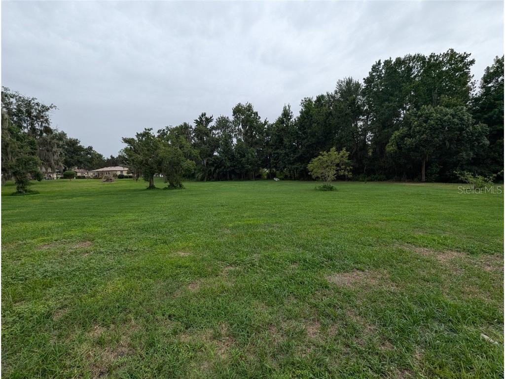 18302 Hanna Road Lutz FL 33549 - HANNA LAKE TB8367547 image50