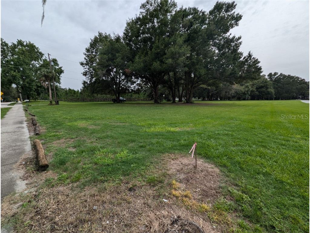 18302 Hanna Road Lutz FL 33549 - HANNA LAKE TB8367547 image51