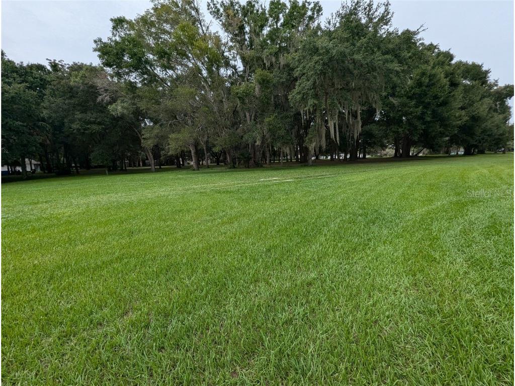 18302 Hanna Road Lutz FL 33549 - HANNA LAKE TB8367547 image54