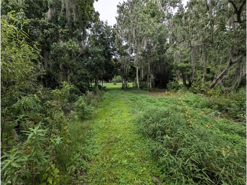 18302 Hanna Road Lutz FL 33549 - HANNA LAKE TB8367547 image57