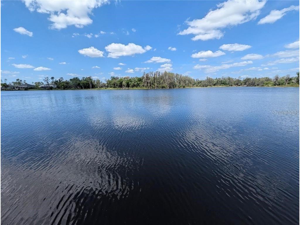 18302 Hanna Road Lutz FL 33549 - HANNA LAKE TB8458181 image11