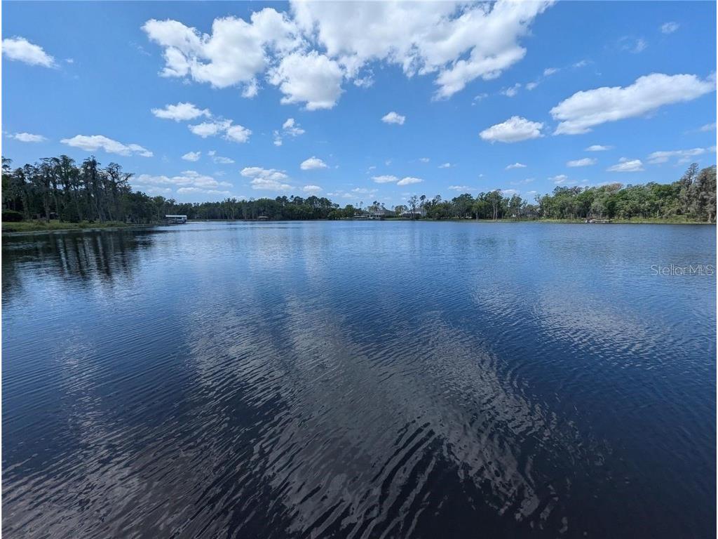 18302 Hanna Road Lutz FL 33549 - HANNA LAKE TB8458181 image12