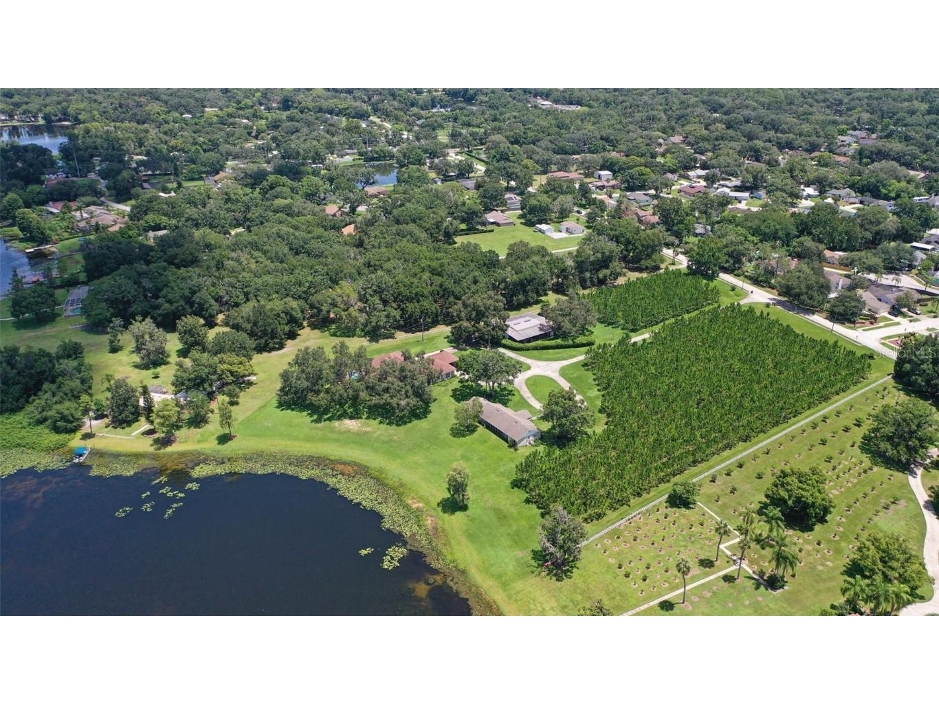 18302 Hanna Road Lutz FL 33549 - HANNA LAKE TB8458181 image7