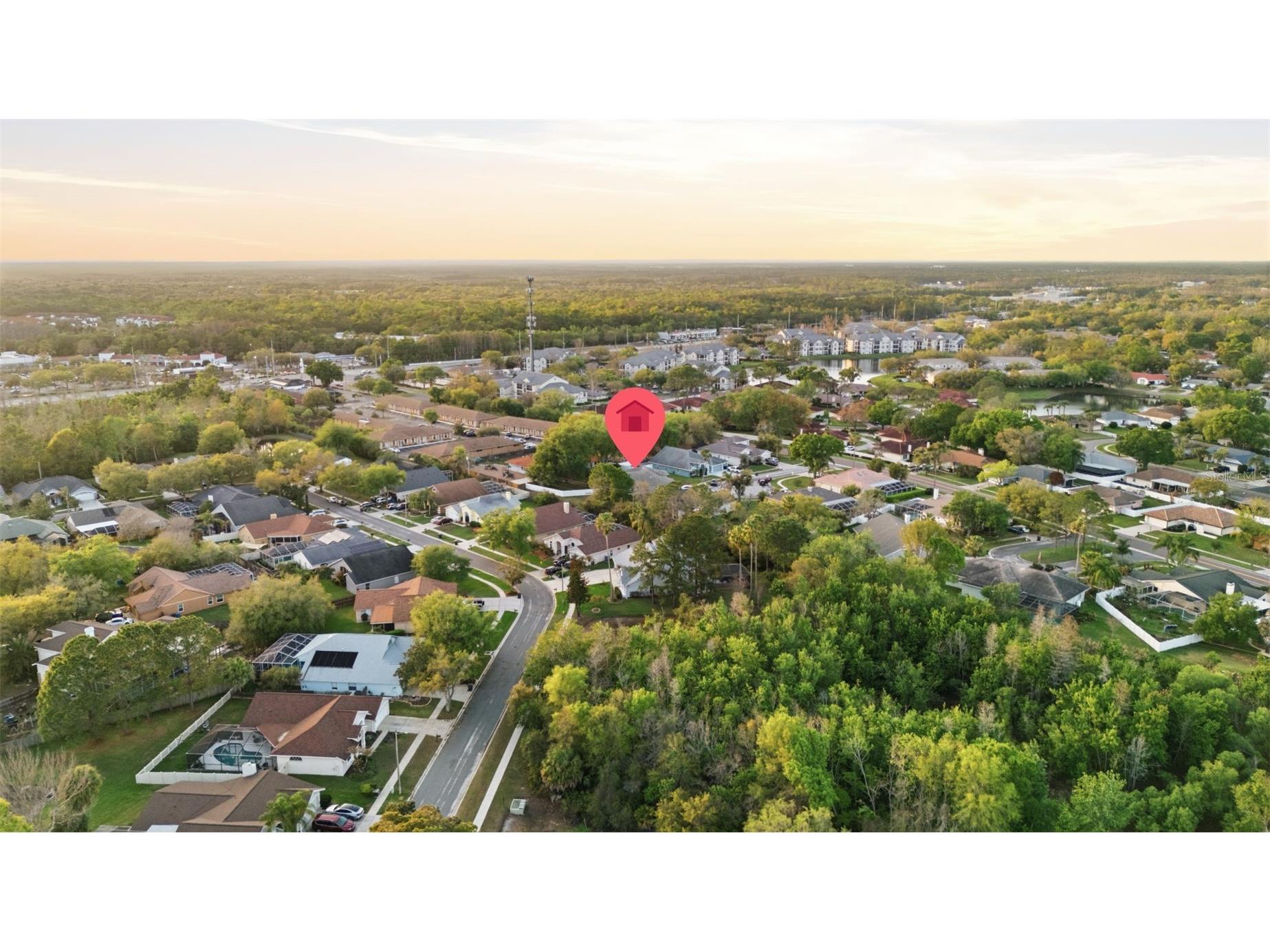 18302 Saint James Court Tampa FL 33647 TB8487904 image59