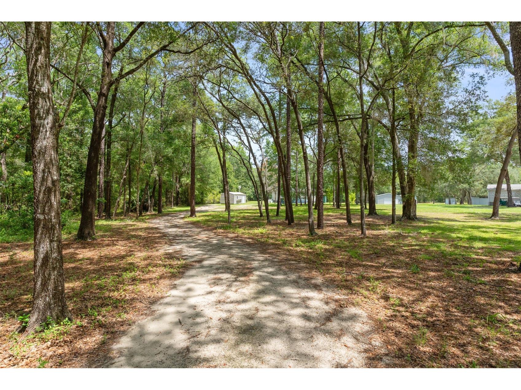 18303 SW 27th Street Dunnellon FL 34432 W7887413 image3
