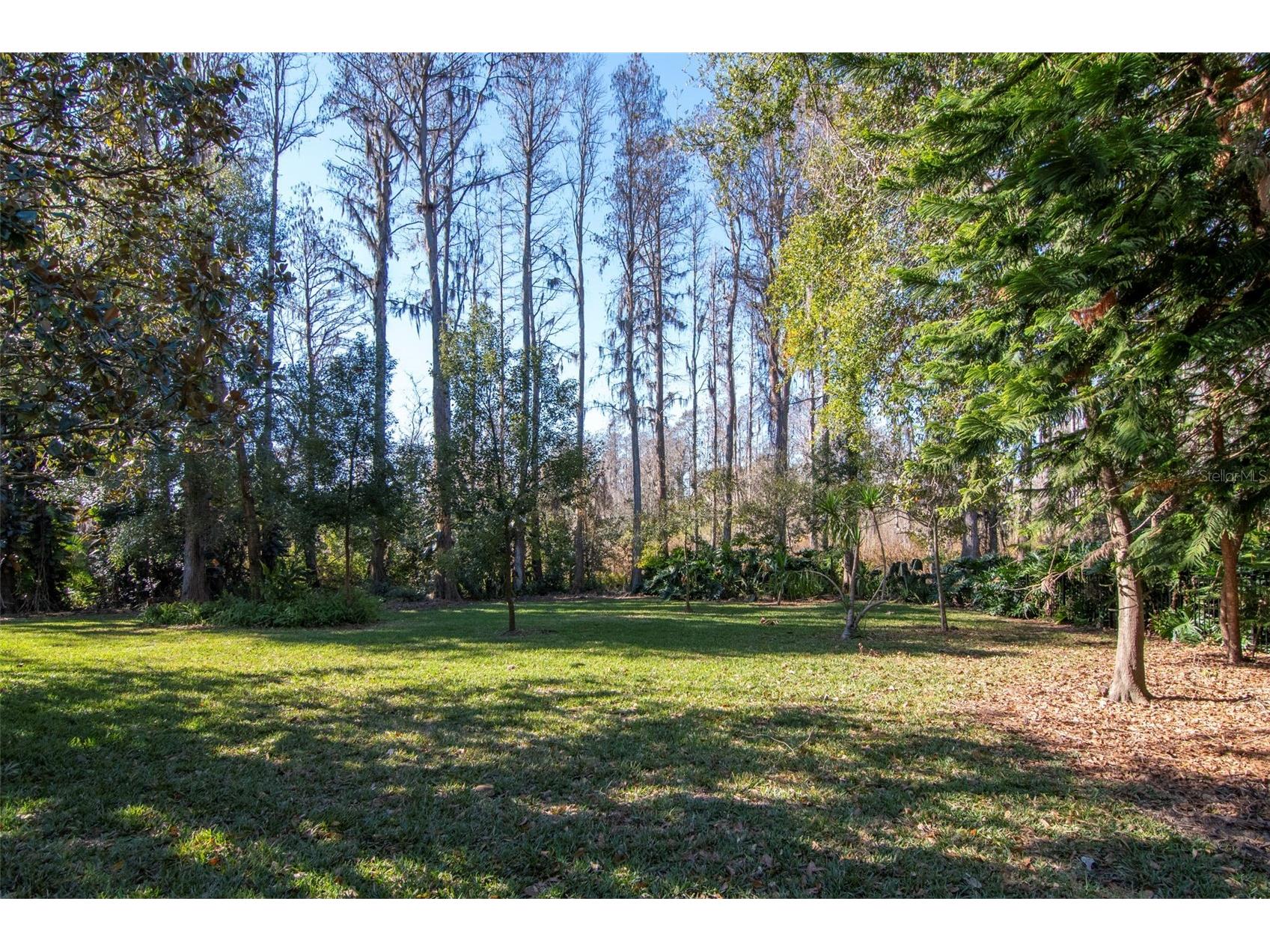 18306 Pleasant Ridge Place Lutz FL 33548 TB8469427 image55