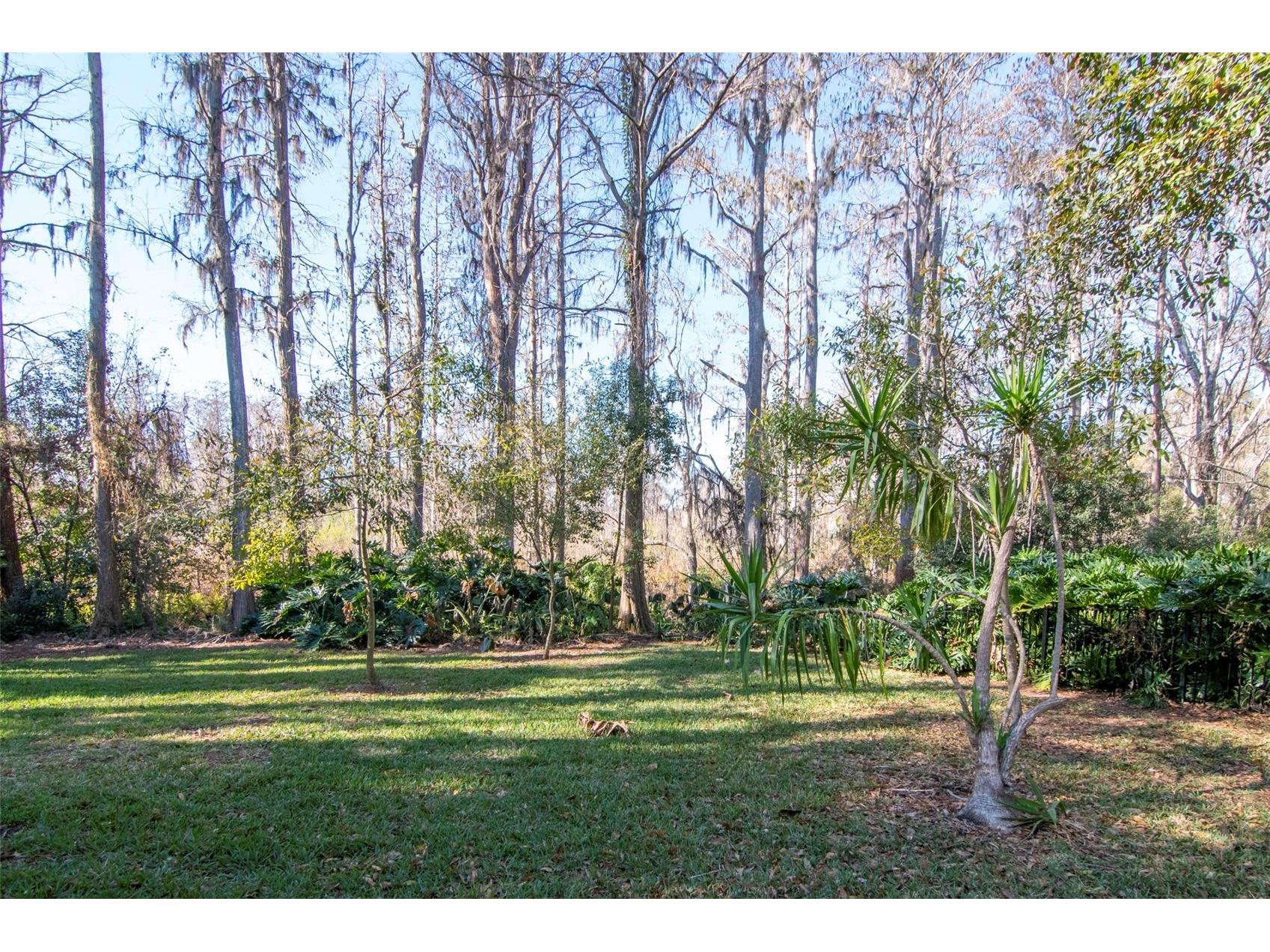 18306 Pleasant Ridge Place Lutz FL 33548 TB8469427 image56