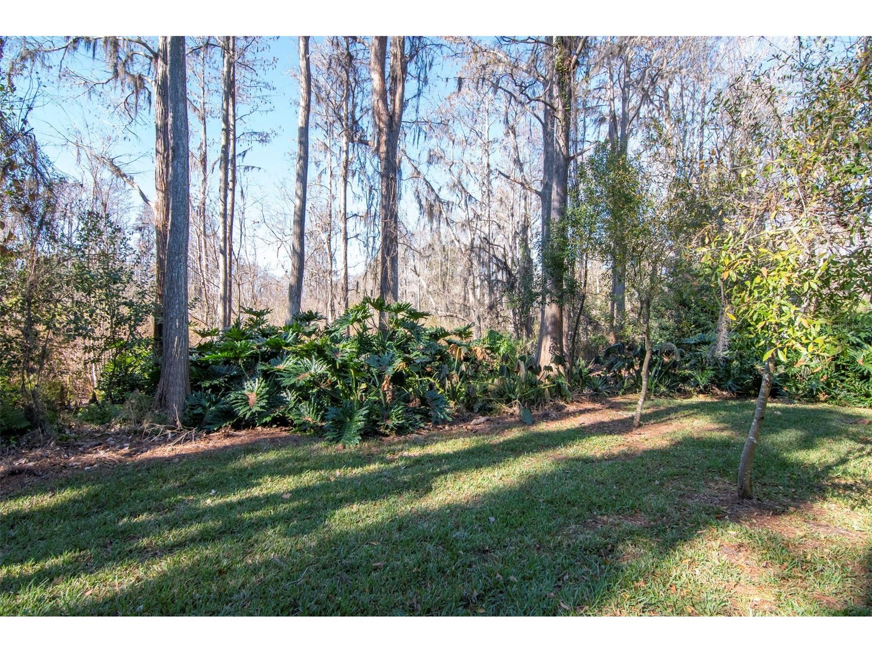 18306 Pleasant Ridge Place Lutz FL 33548 TB8469427 image58
