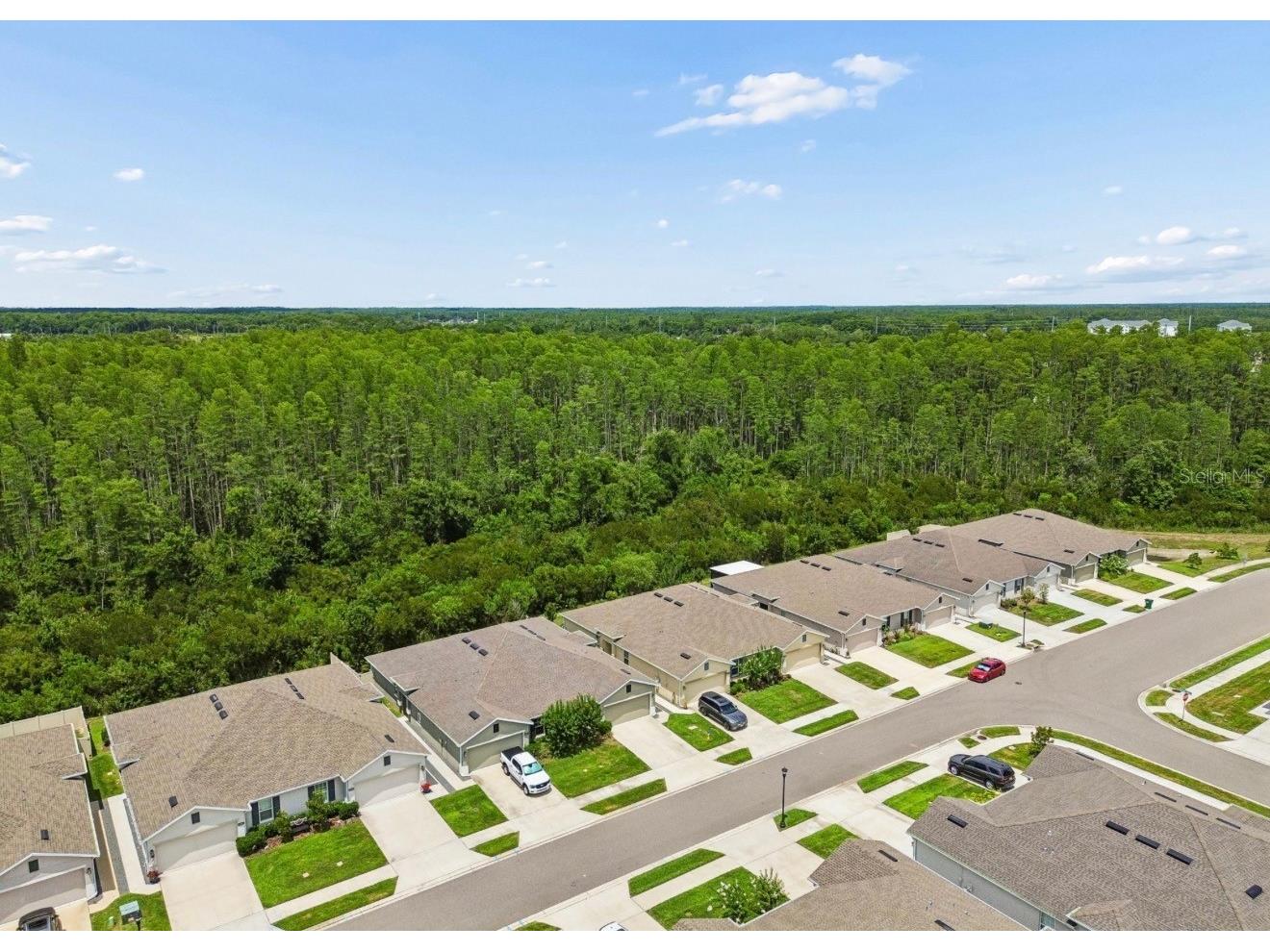 18307 Turning Leaf Circle Land O Lakes FL 34638 W7886687 image26