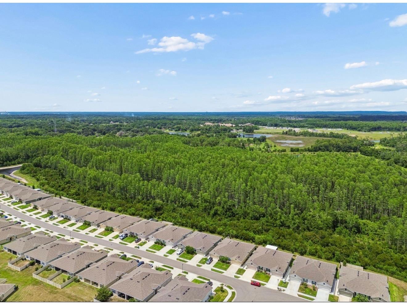 18307 Turning Leaf Circle Land O Lakes FL 34638 W7886687 image27