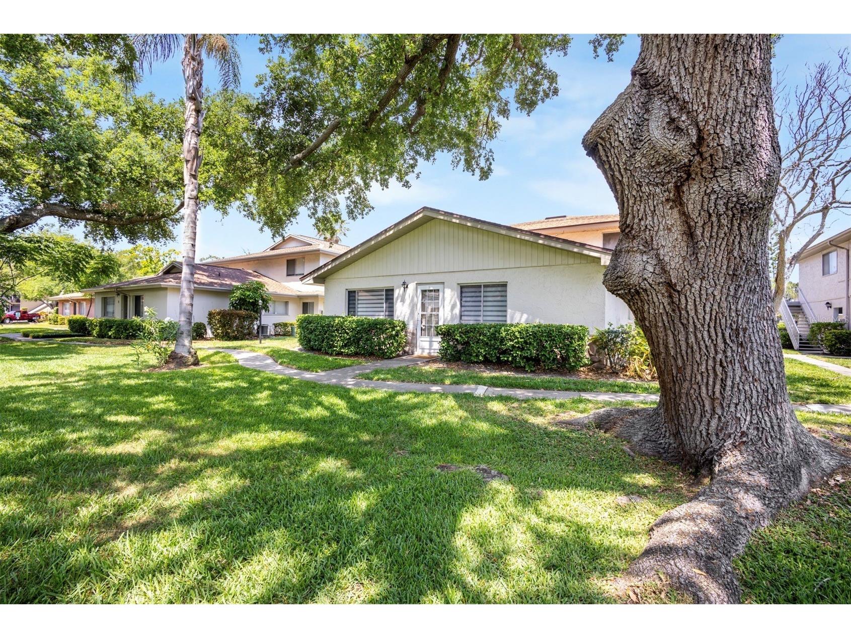 1831 Bough Avenue #1 Clearwater FL 33760 O6403551 image2