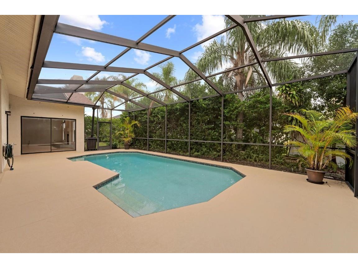 1831 Stable Trail Palm Harbor FL 34685 TB8445591 image23