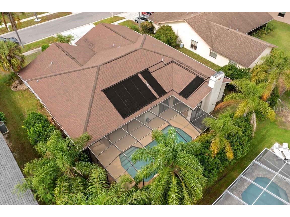 1831 Stable Trail Palm Harbor FL 34685 TB8445591 image28