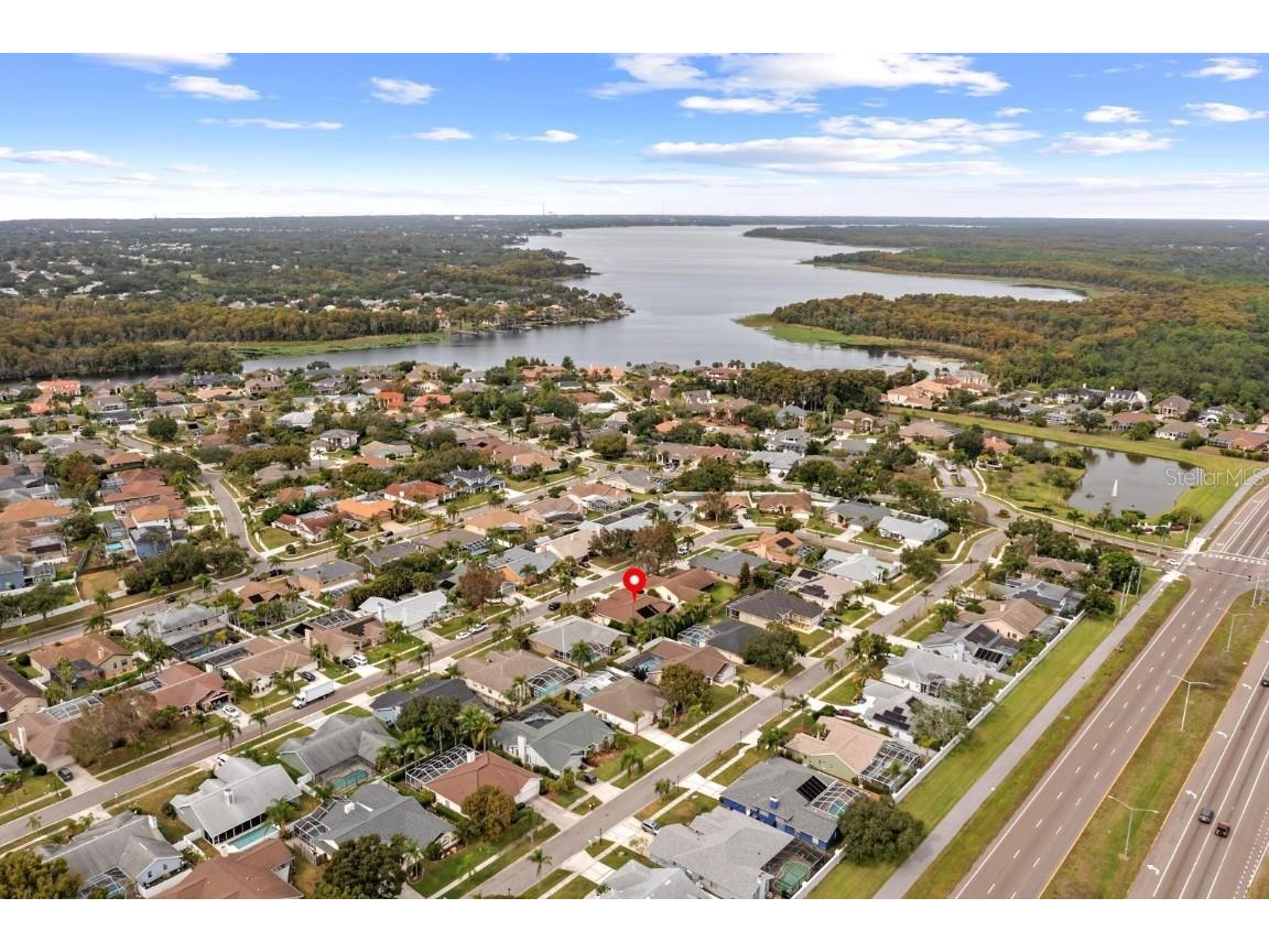 1831 Stable Trail Palm Harbor FL 34685 TB8445591 image32