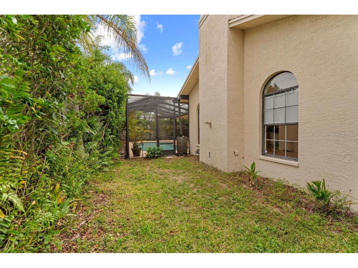 1831 Stable Trail Palm Harbor FL 34685 TB8445591 image34