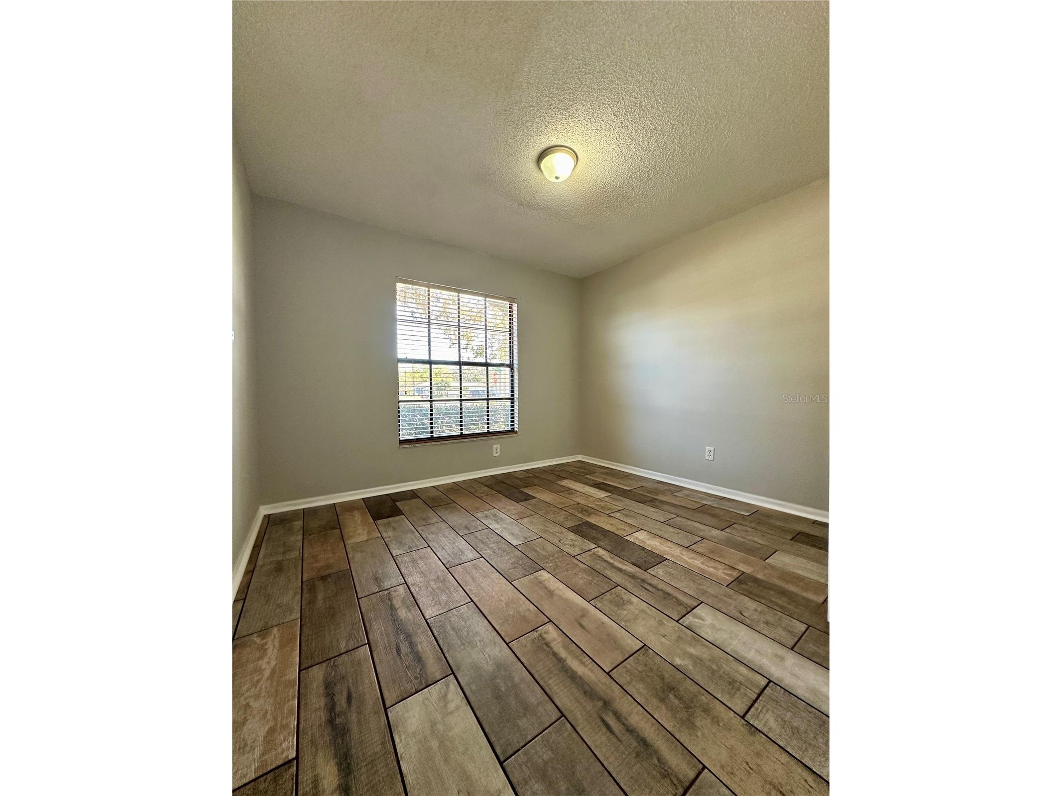 1831 Twisting Lane Wesley Chapel FL 33543 TB8507308 image10