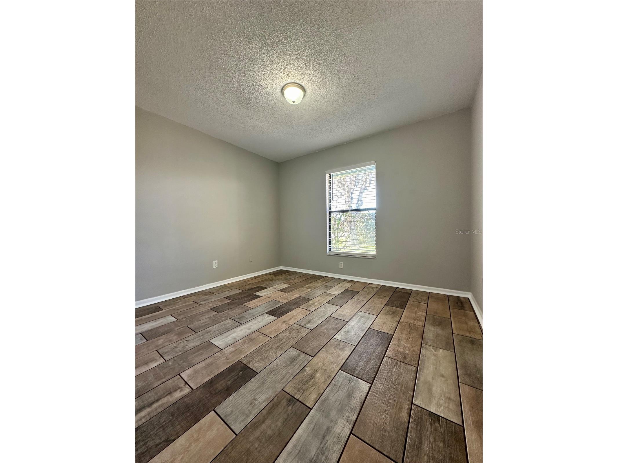 1831 Twisting Lane Wesley Chapel FL 33543 TB8507308 image12