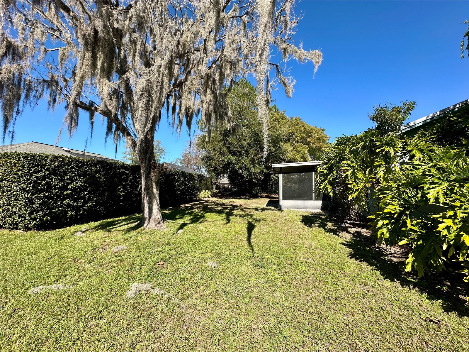 1831 Twisting Lane Wesley Chapel FL 33543 TB8507308 image13