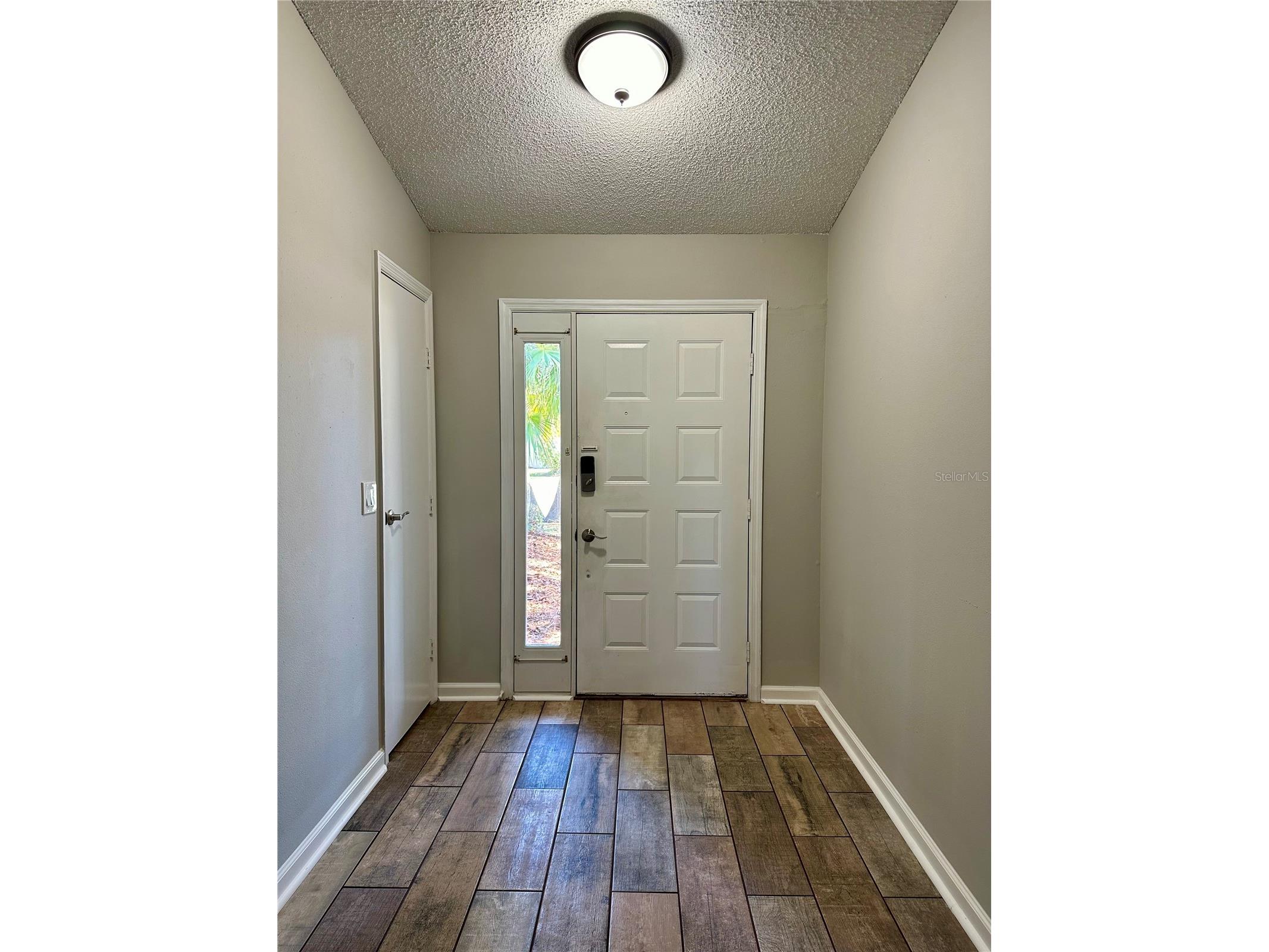 1831 Twisting Lane Wesley Chapel FL 33543 TB8507308 image2