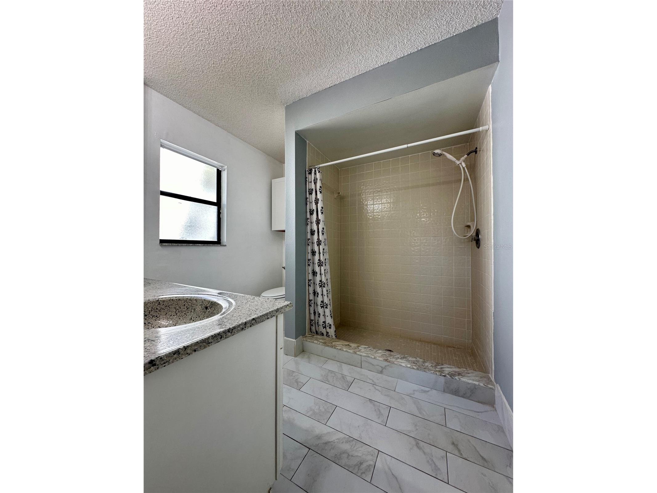 1831 Twisting Lane Wesley Chapel FL 33543 TB8507308 image9