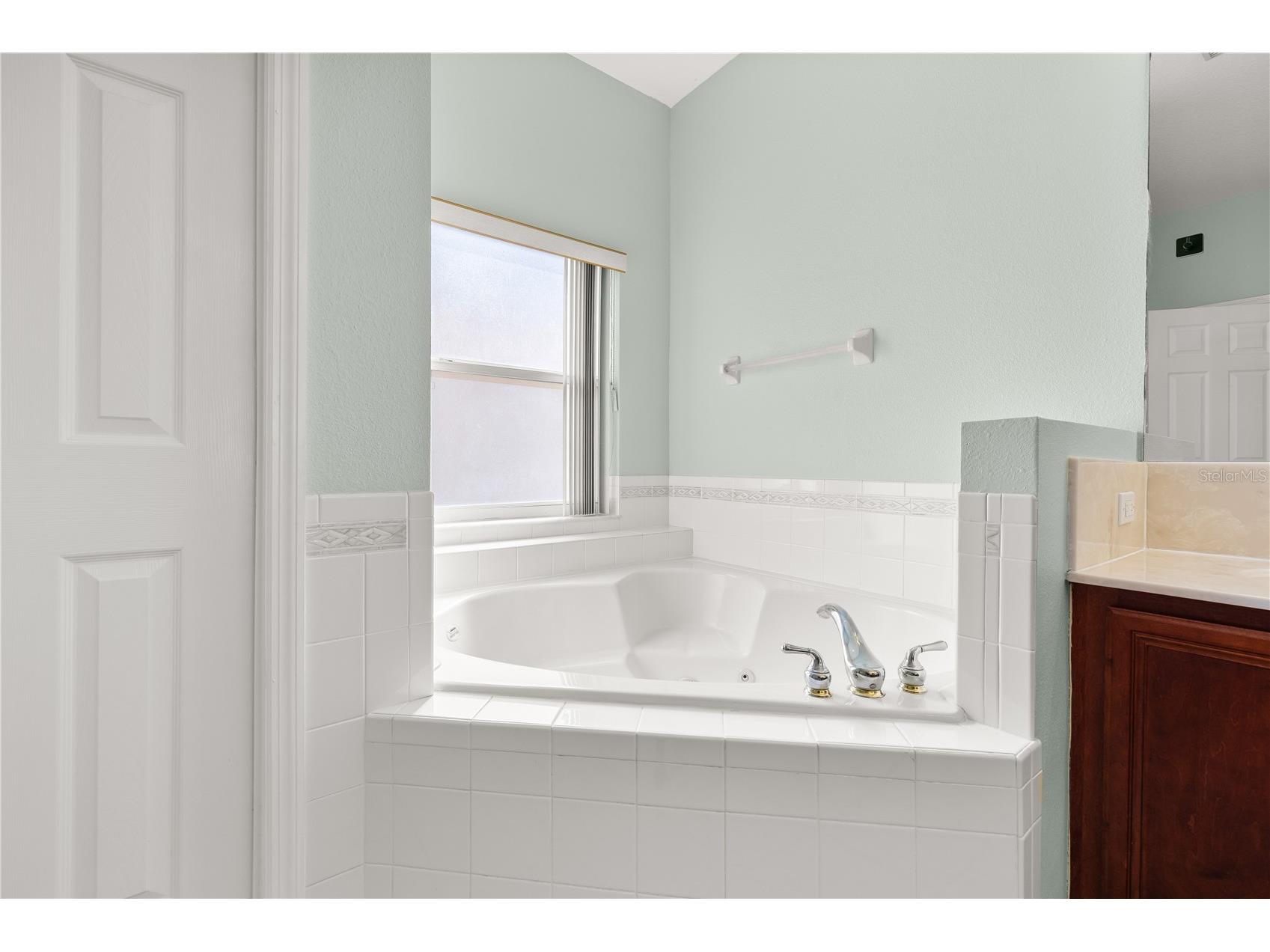 1831 Windward Oaks Court Kissimmee FL 34746 - LAKE TOHO O6383771 image18
