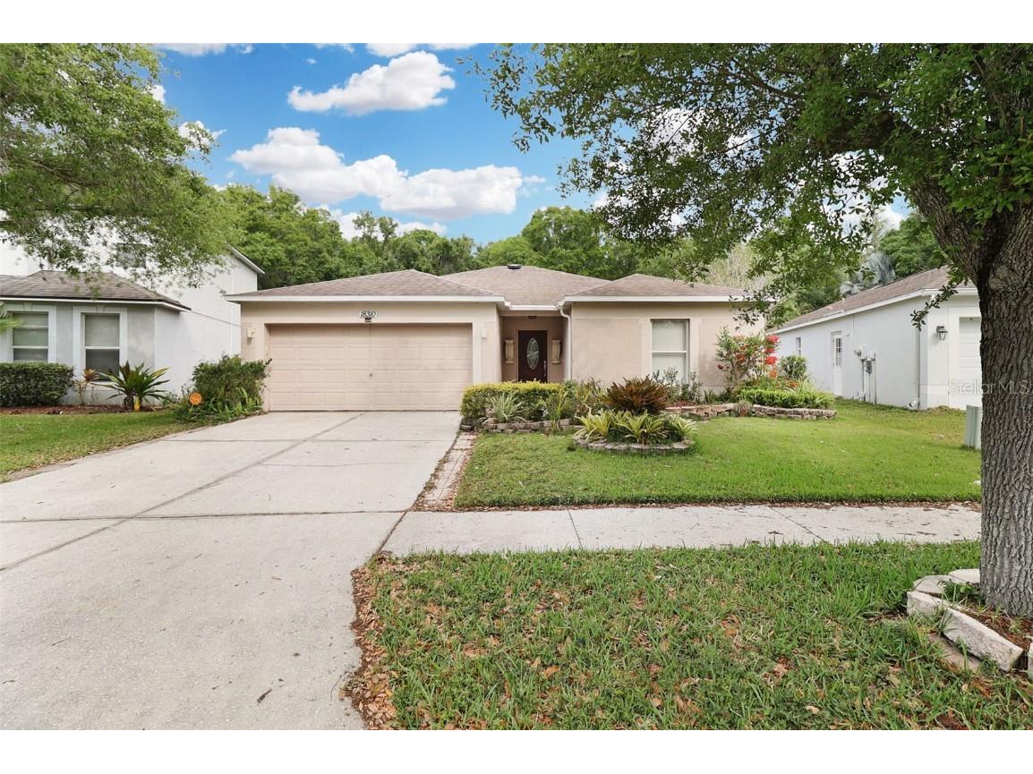 18310 Elmhurst Lane Tampa FL 33647 T3515339 image1