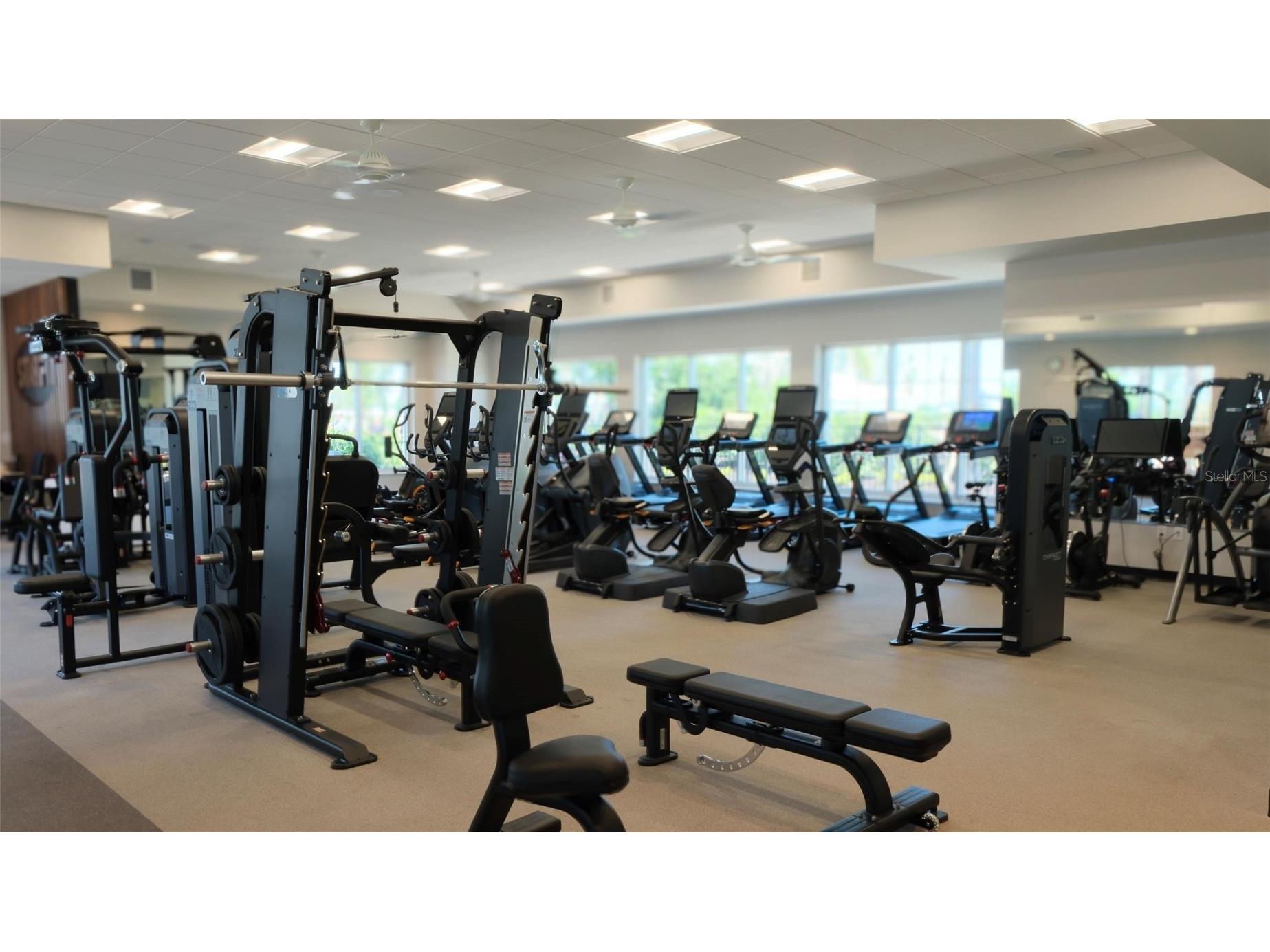 18311 Tavernside Trail Lakewood Ranch FL 34211 A4682968 image19