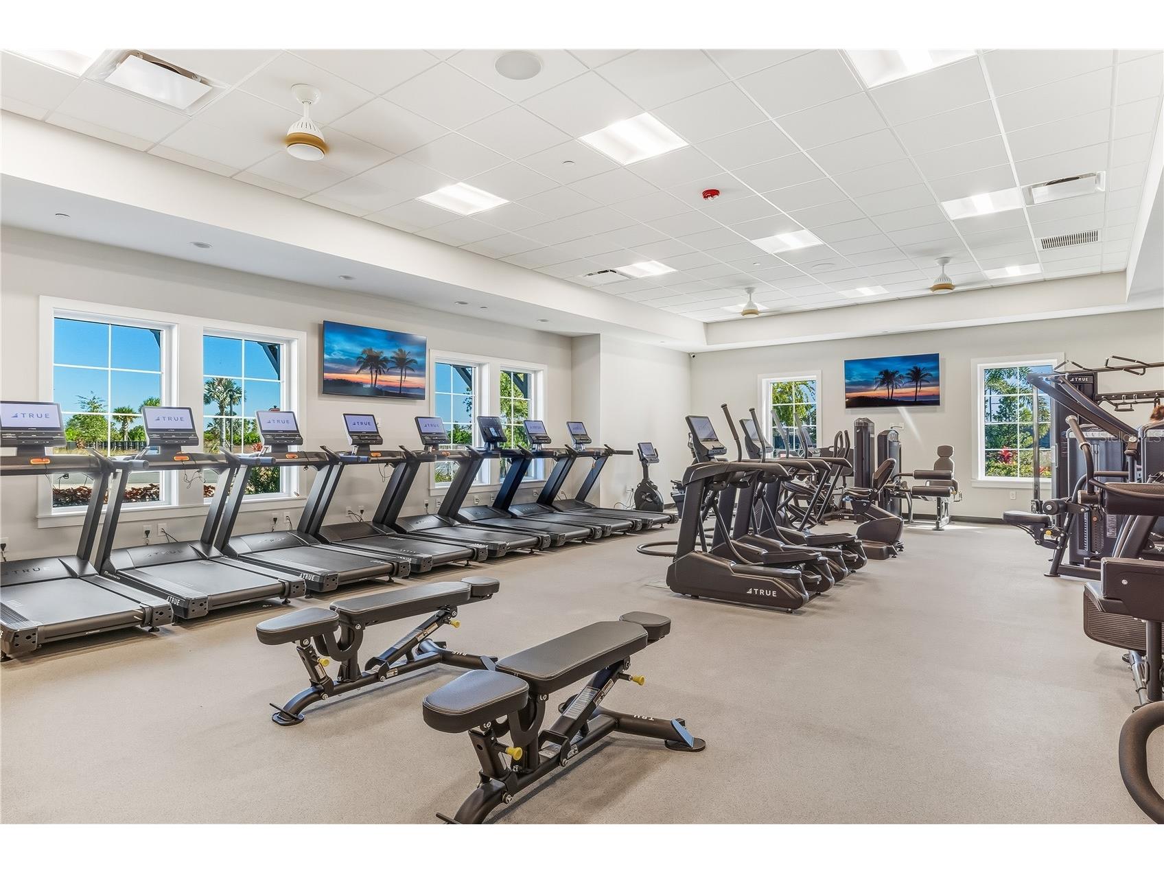 18311 Tavernside Trail Lakewood Ranch FL 34211 A4682968 image66