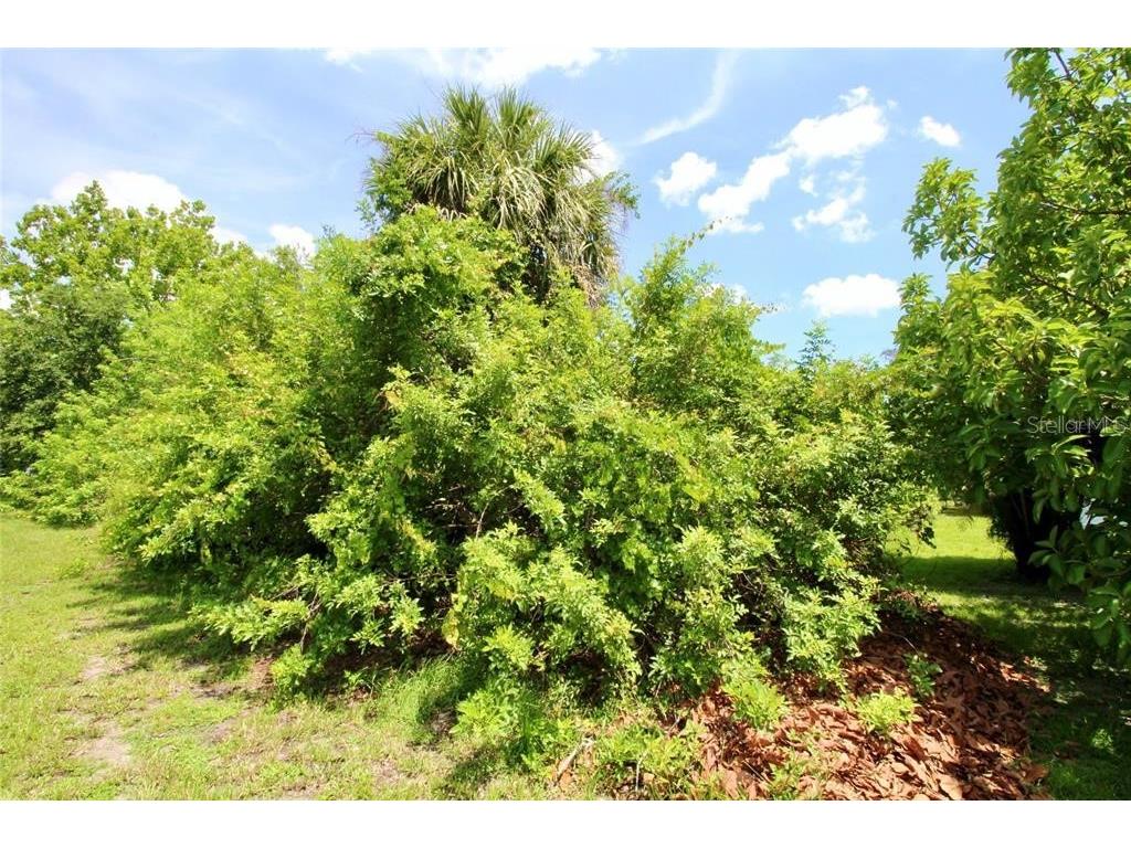 18311 Van Nuys Circle Port Charlotte FL 33948 OM660976 image29