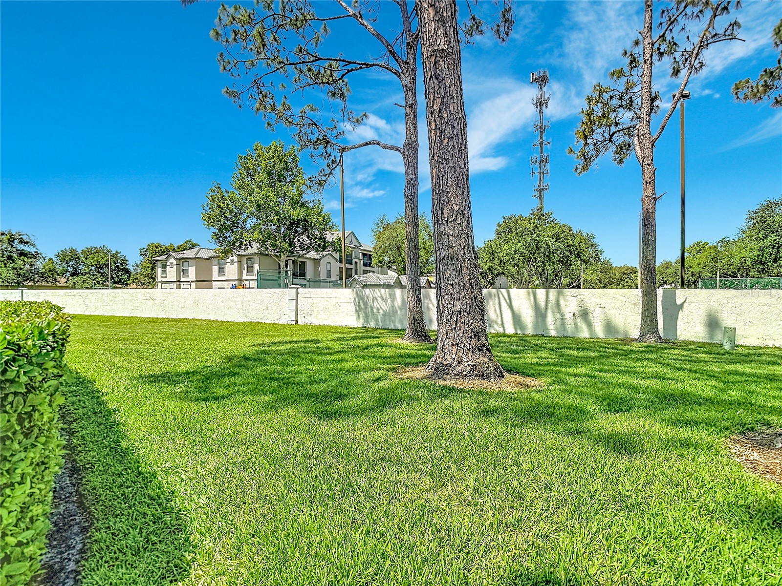 18312 Aintree Court #0 Tampa FL 33647 OM724539 image50